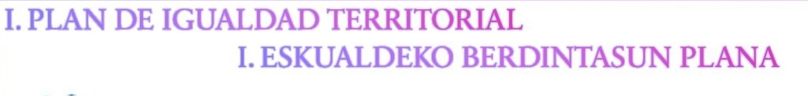 I Plan de Igualdad territorial